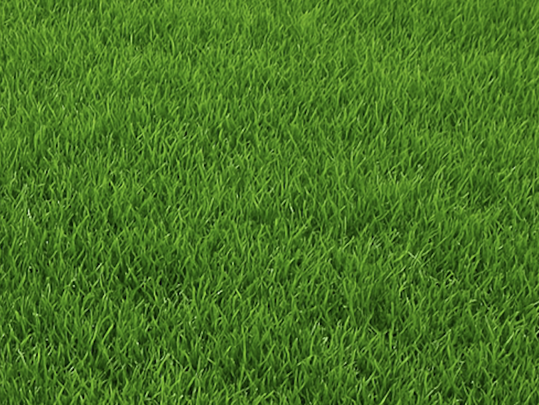 After - Aeration Results