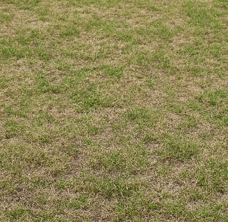 Before - Aeration Results